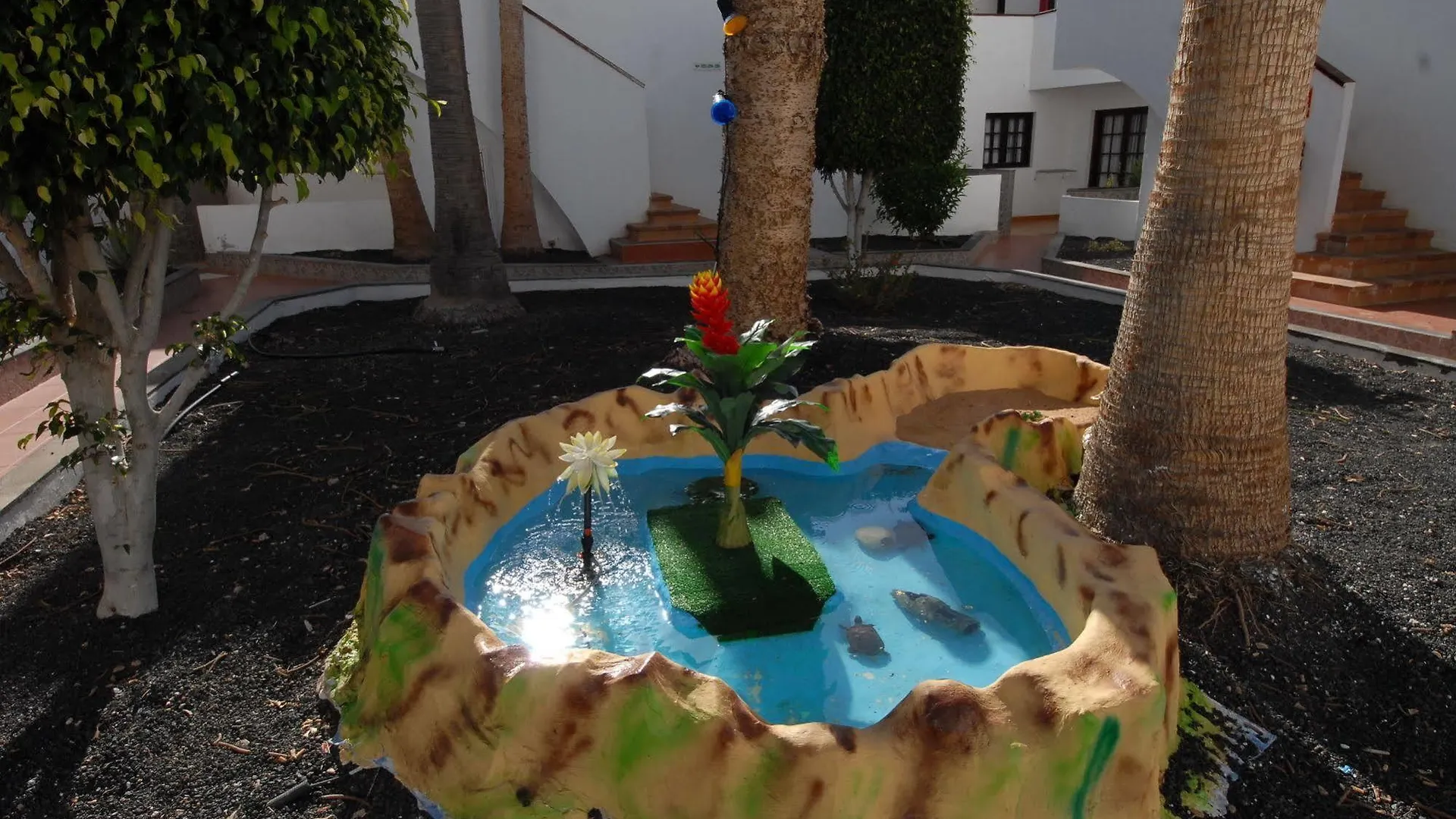 Apartment Apartamentos Villa Florida Caleta De Fuste Spain